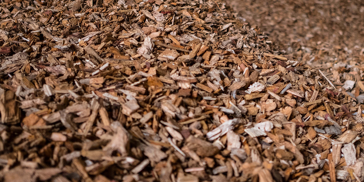 Sustainable Miserden