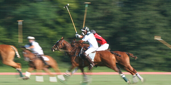 Equestrian activities at Miserden