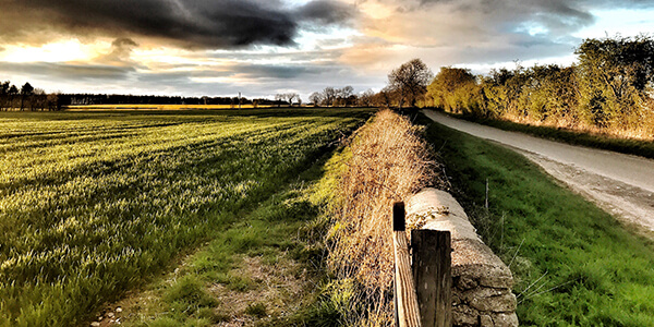 The Valley Walk