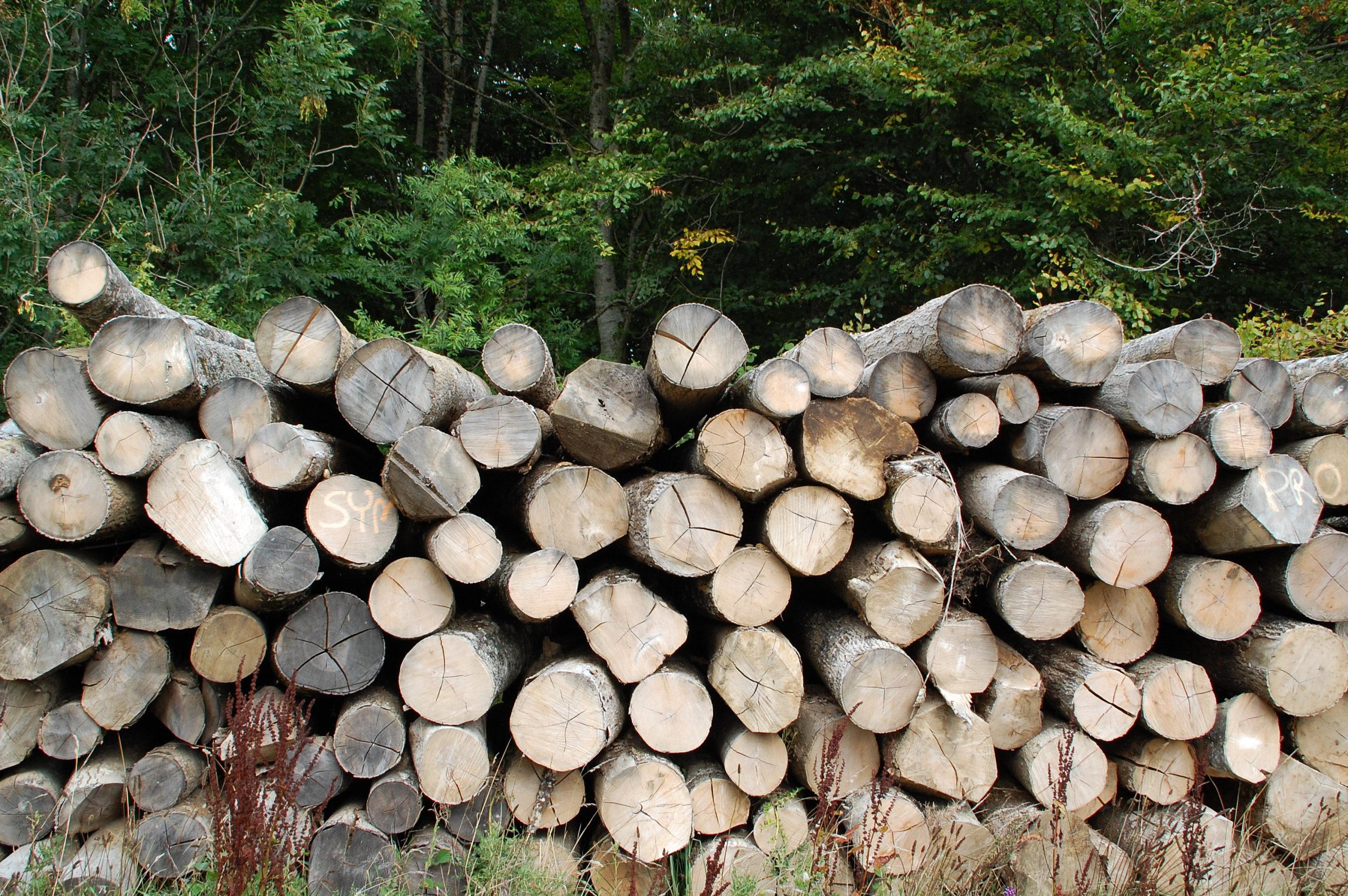 Firewood at Miserden