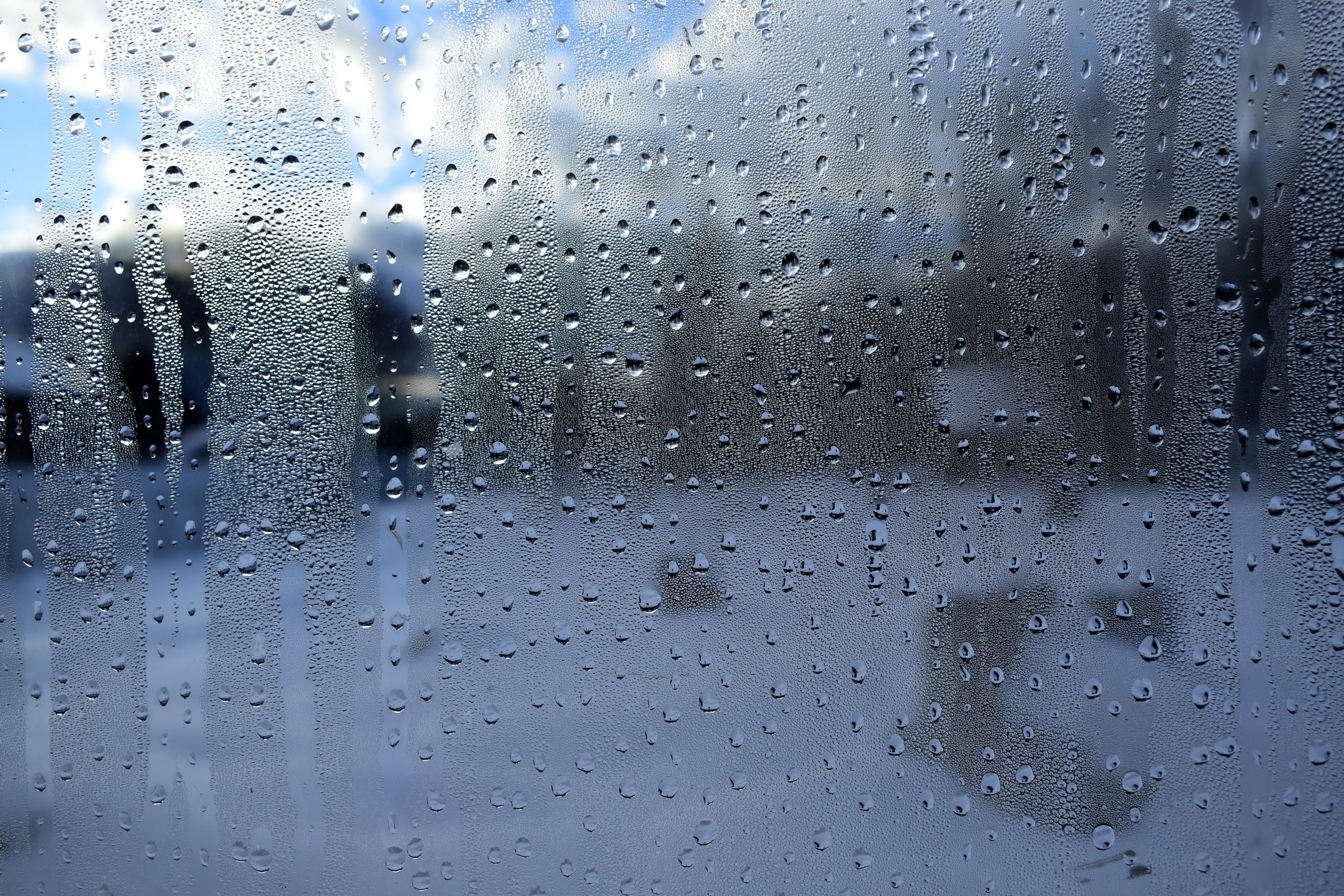Featured image for “Keeping your home free of damp and mould this winter”